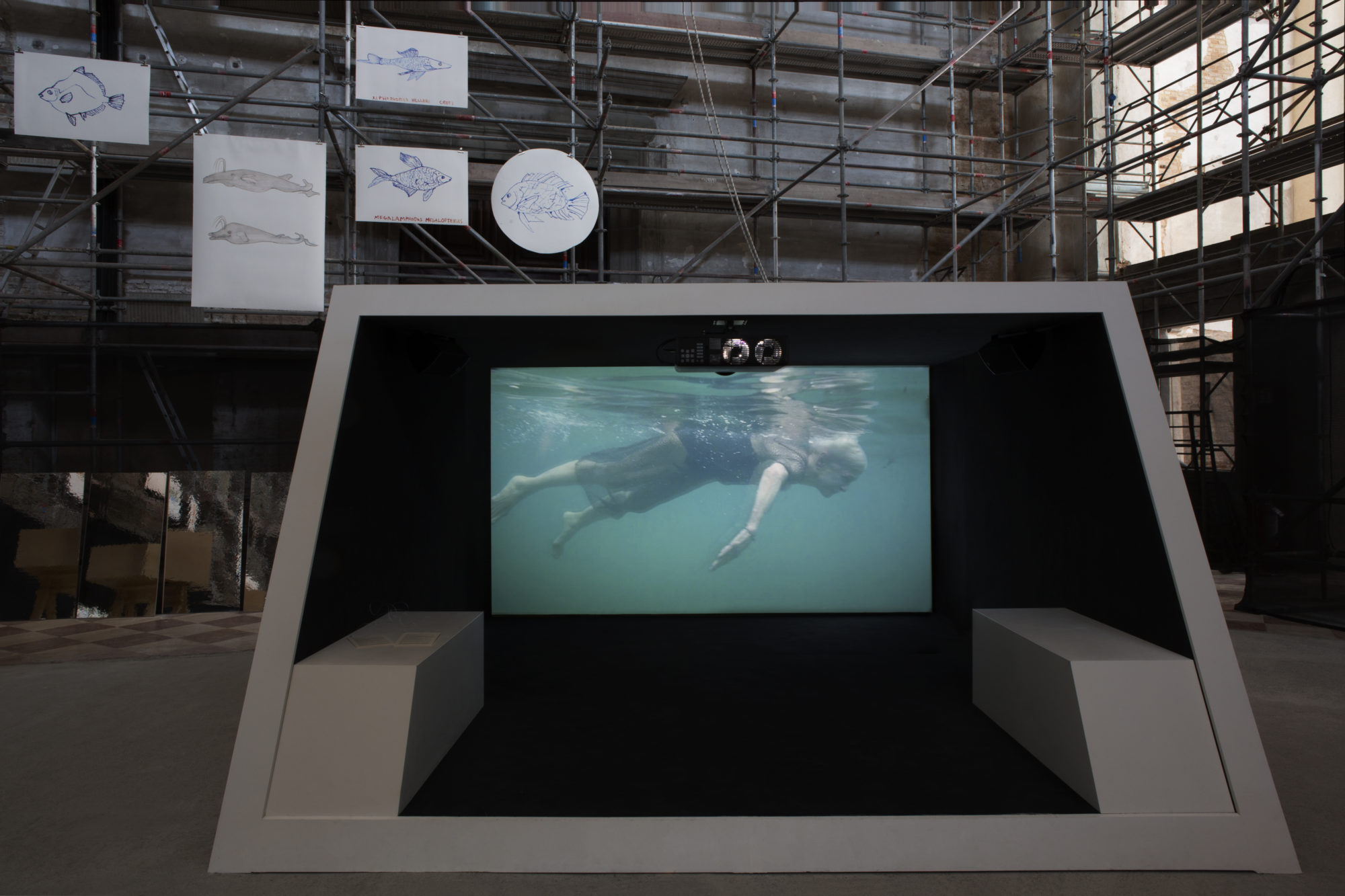 Installation view of a video focused on a woman floating in water.