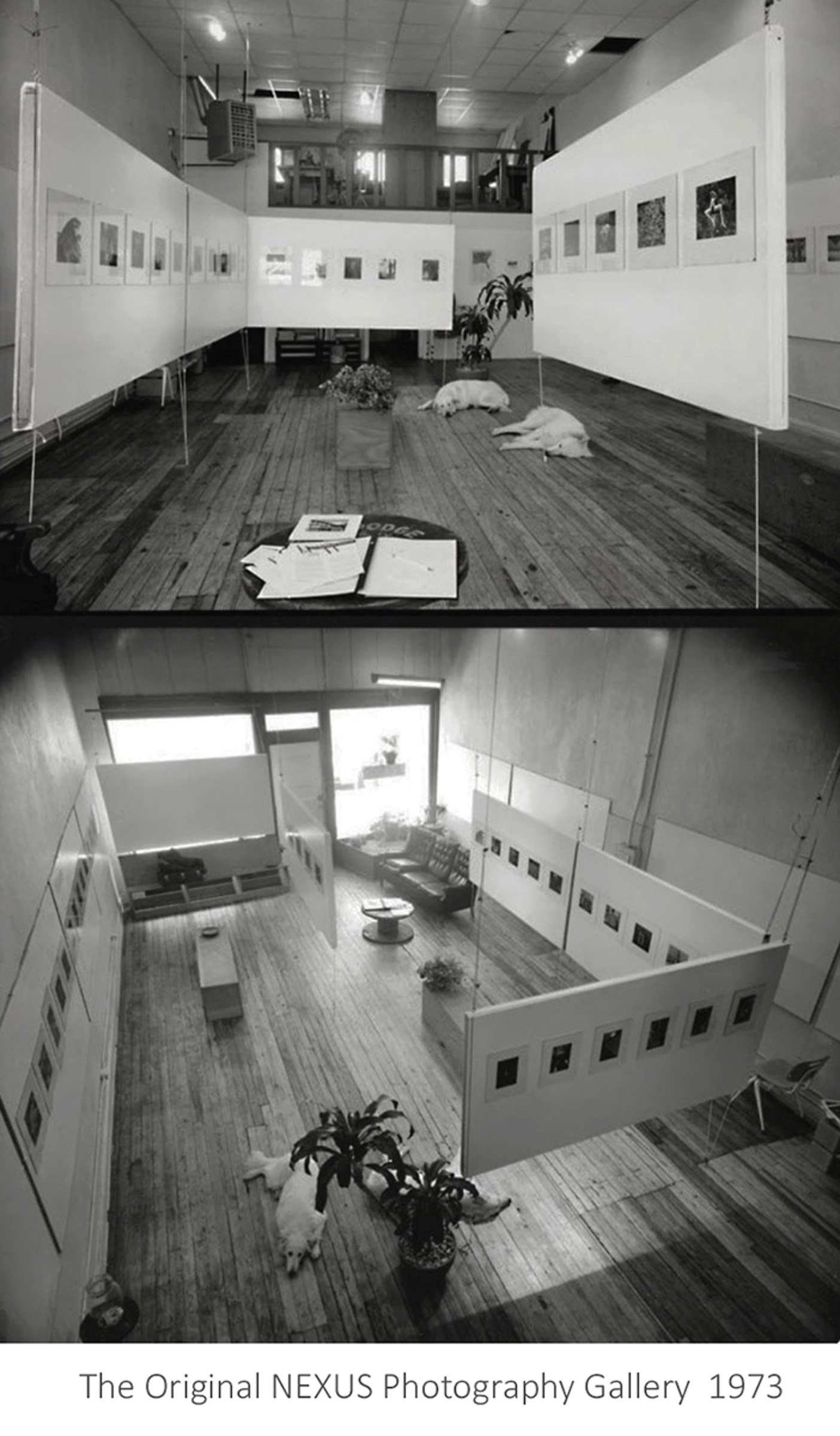 A black and white photograph of the original Nexus photography gallery.