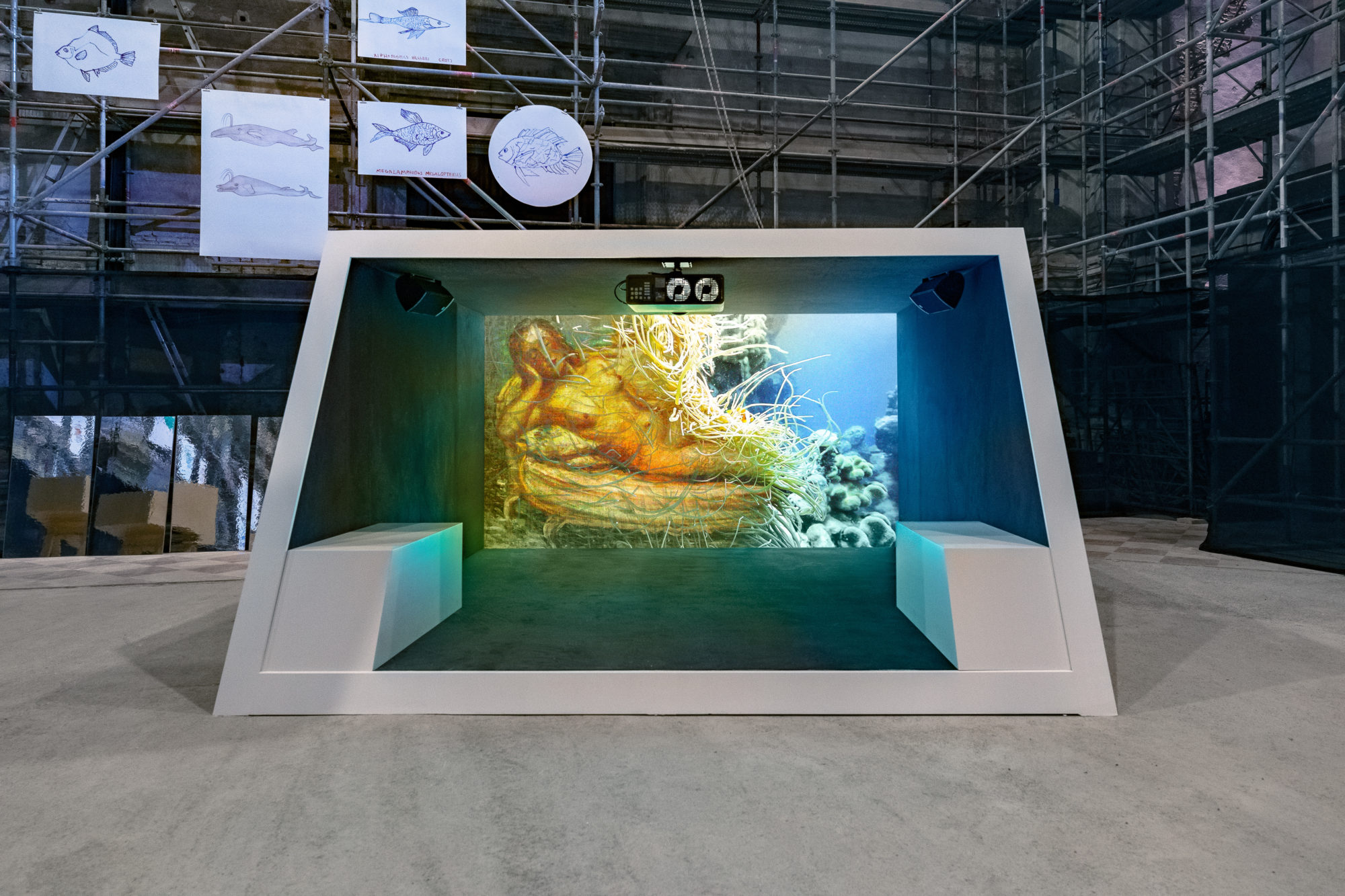 Installation view of a video focused on a yellow mermaid underwater.