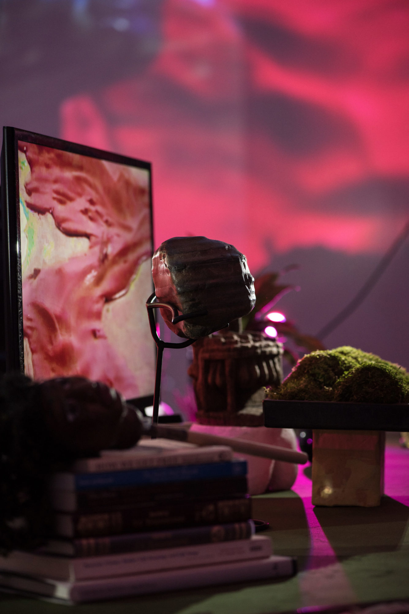 wire object holds object while surrounded by books, plants and monitor. video projection of arrangement can be seen on wall