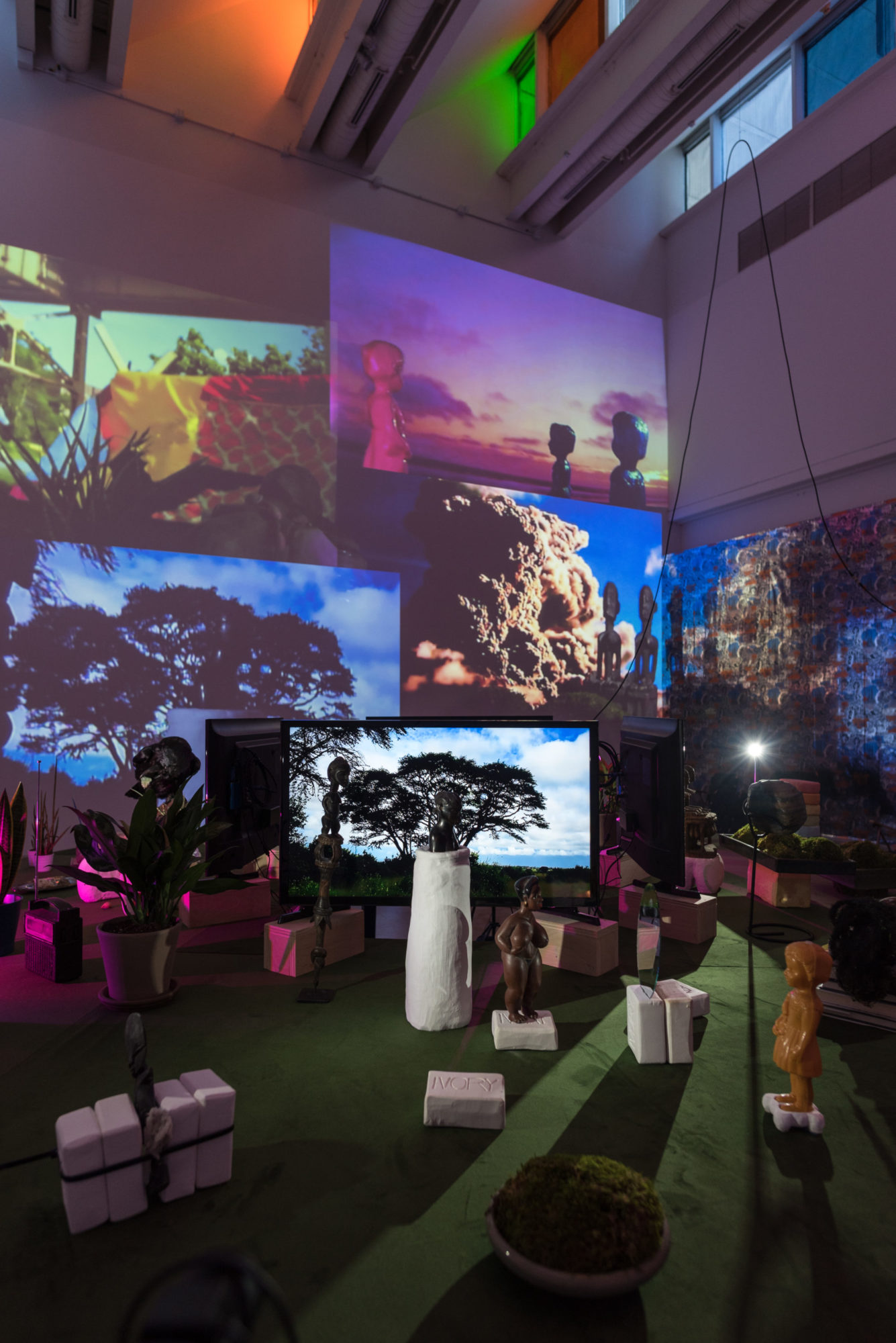 figurines and plants arranged on table in front of computer monitor displaying a image of a tree. video projection of arrangement is cast onto wall