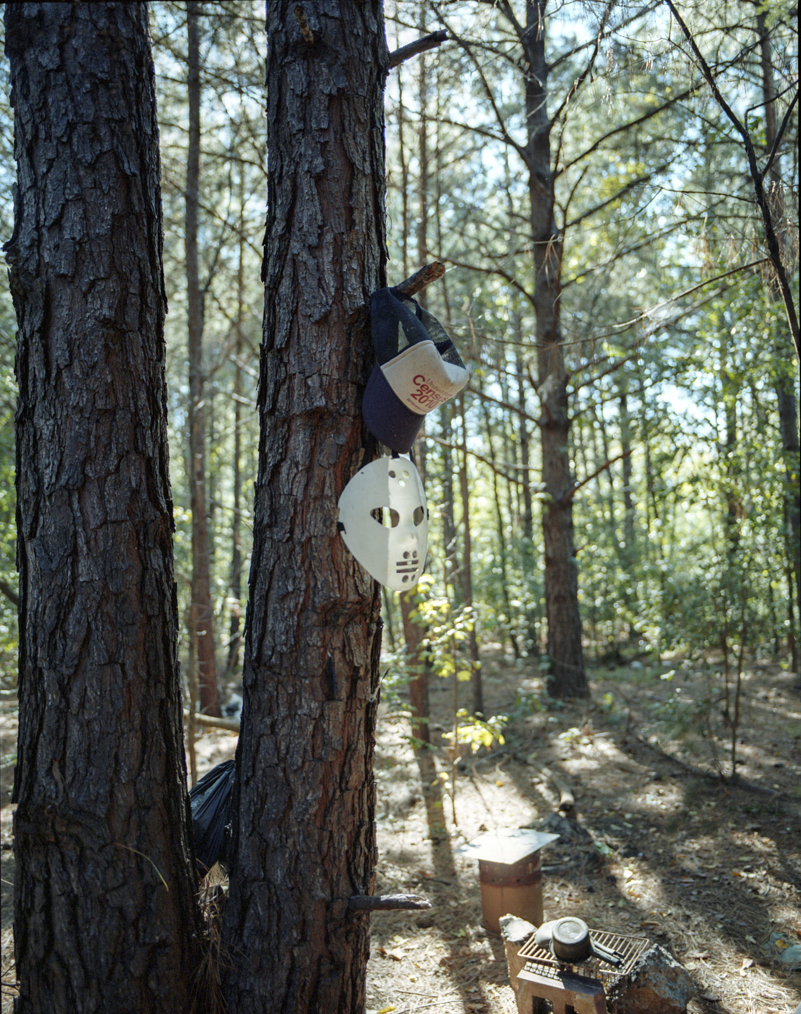 A hat and hockey mask hang on a tree in the woods