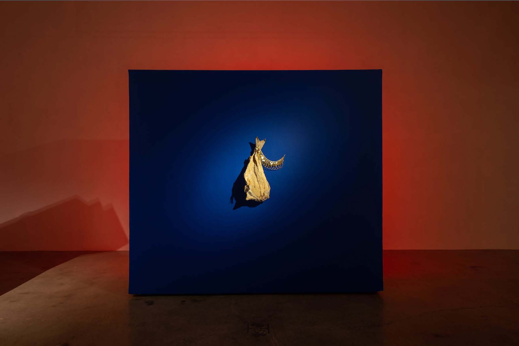 A fish tacked against a blue wall with a piece of gold jewelry attached to it.