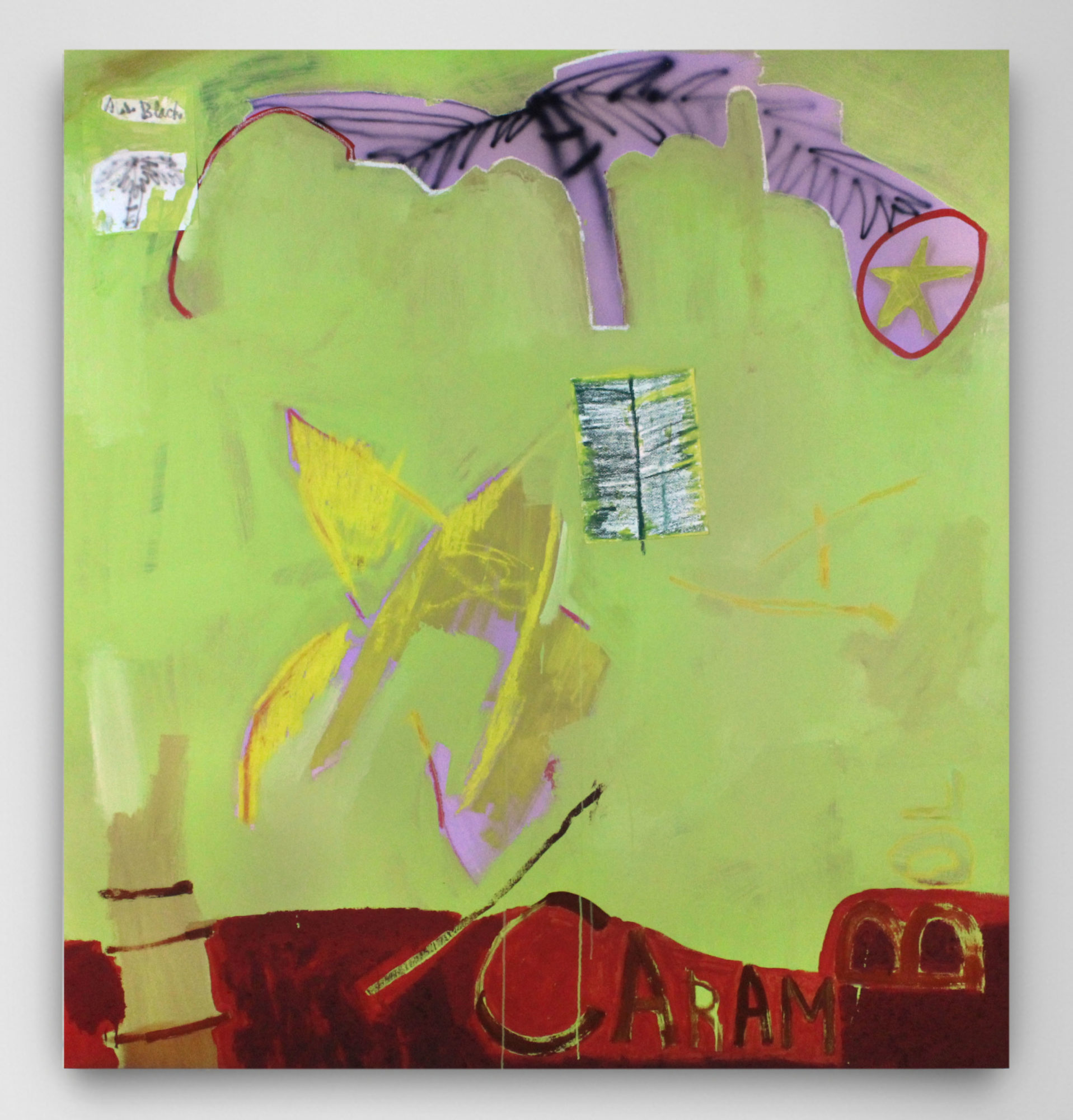 an image of the work 'Carambola' by Sahlehe - the image features a lime green color, yellow stars and palm trees