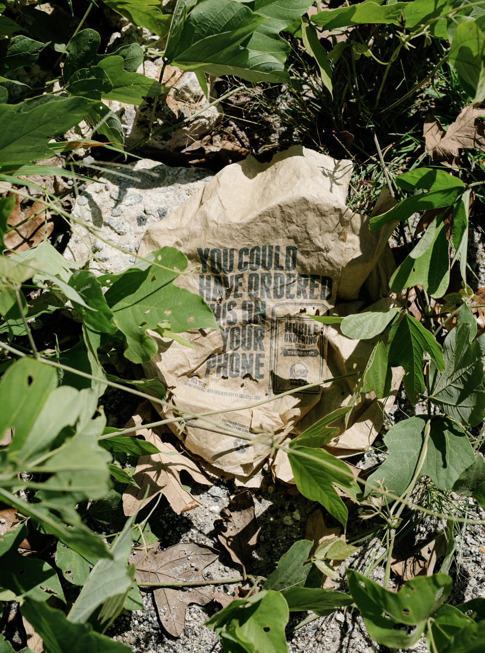A crumpled paper bag on the ground surrounded by plants
