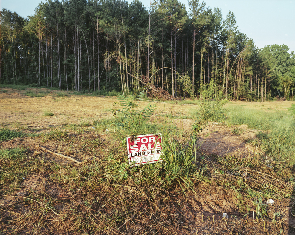 A 'for sale' sign in the ground in front of woods