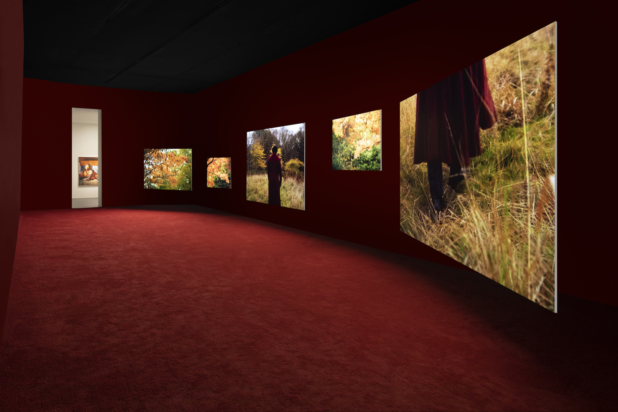 Five screens of varying sizes in a room with red walls and carpets.
