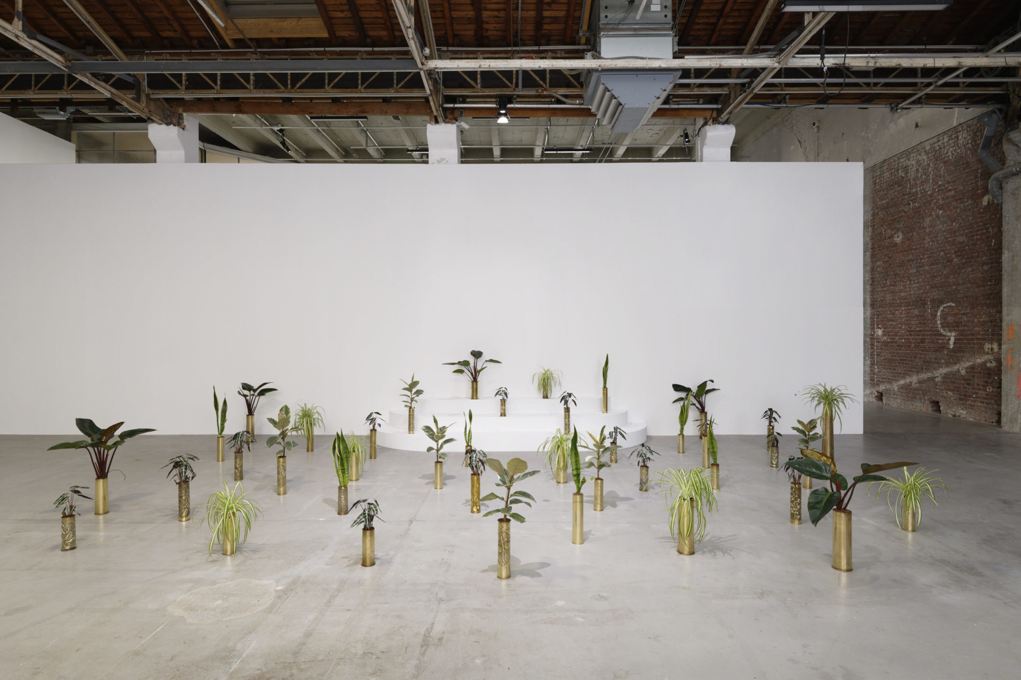 41 houseplants in various sized golden shell-casings rest on a grey concrete floor against a white wall; closest to the wall, there is a three stepped stair on which some of the artillery plants rest