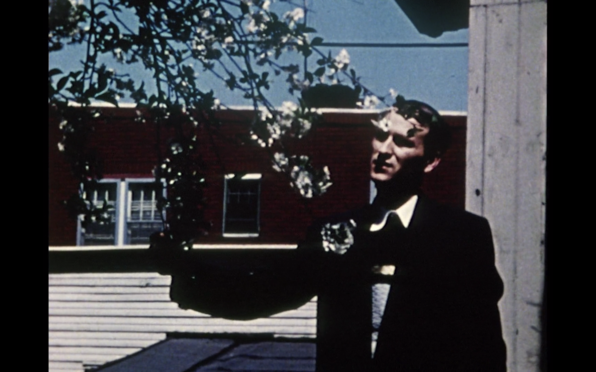 Screenshot from film Lost, Lost, Lost displaying a man with a tree
