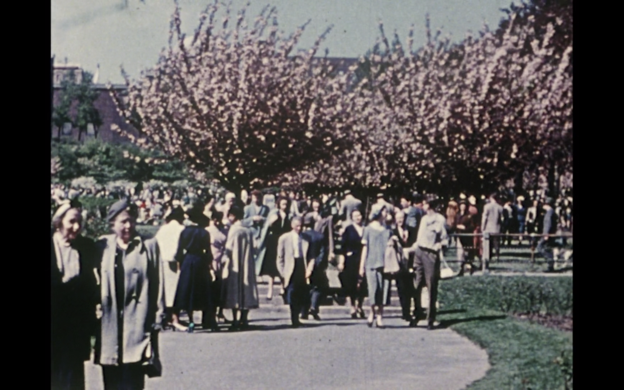 Screenshot from film Lost,Lost,Lost displaying people walking through a park