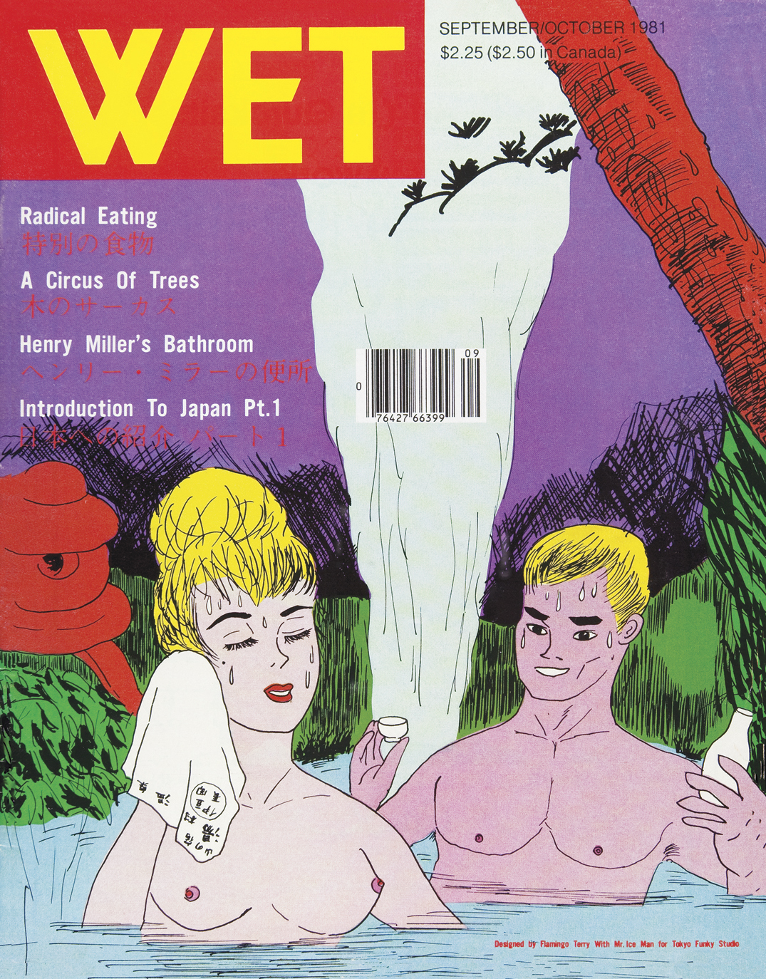 A japanese cover of WET magazine featuring a woman and man skinny dipping