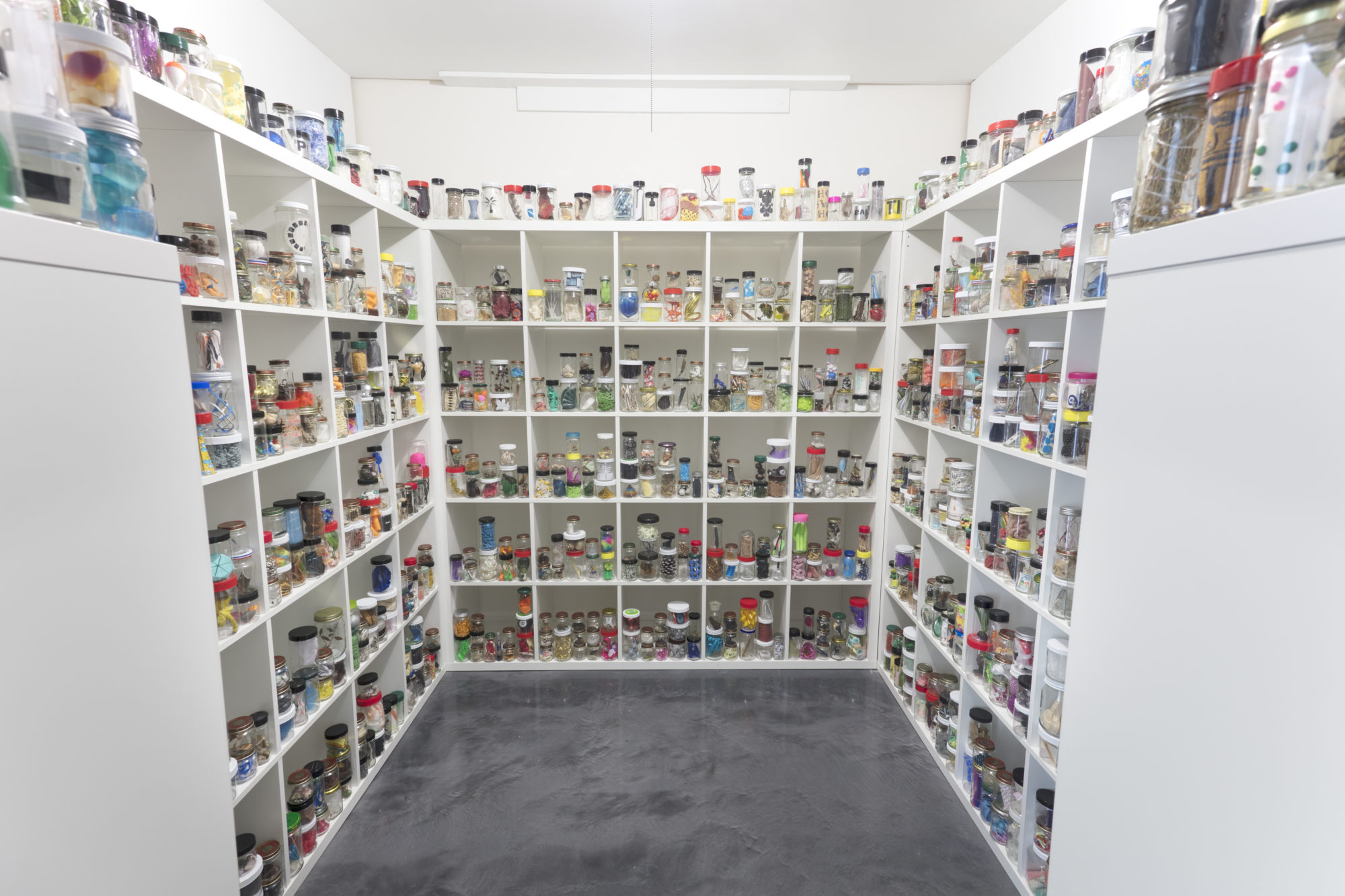 shelves of jars and miscellaneous objects