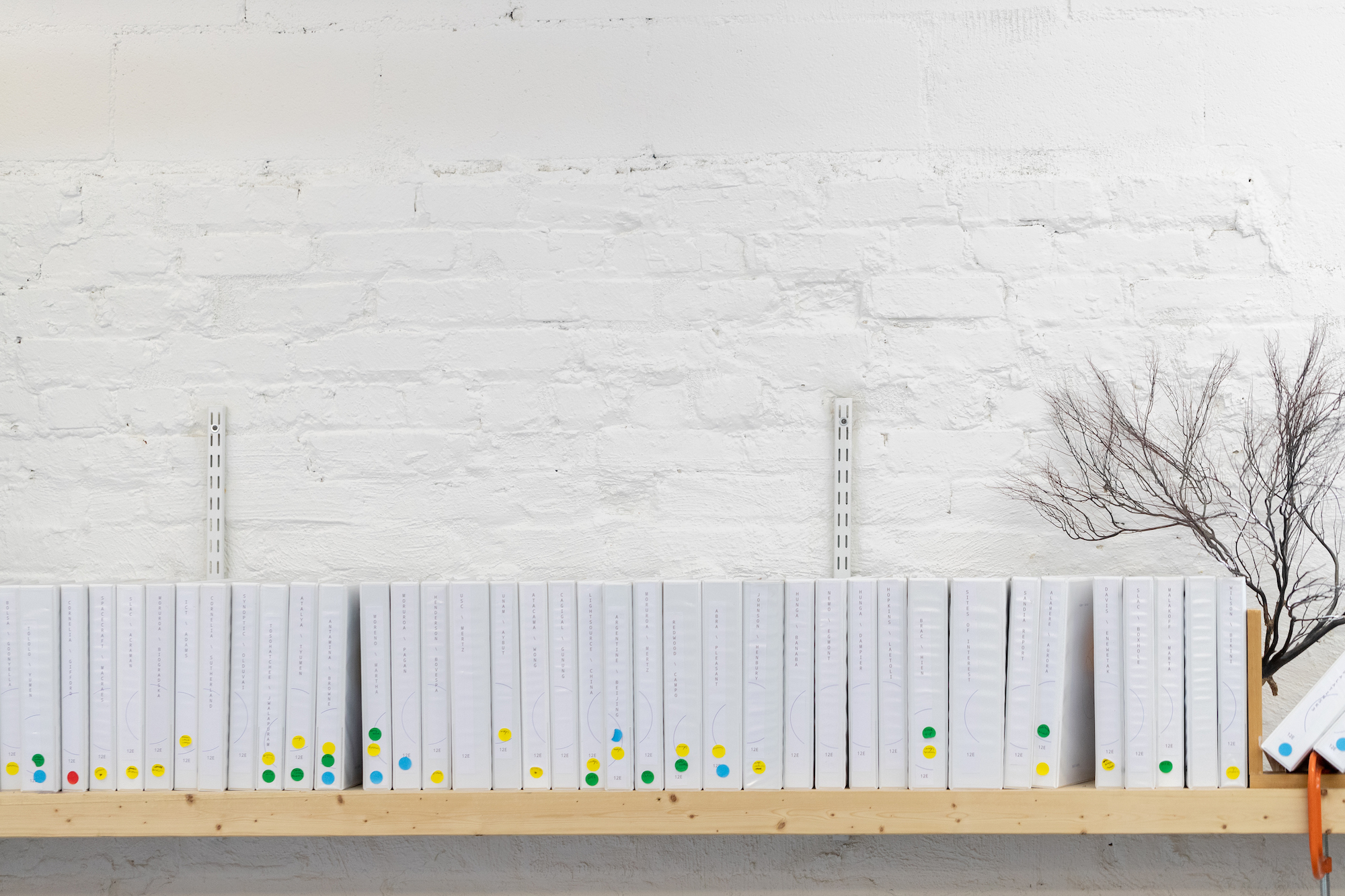 A row of white folders with blue, yellow, green, and red polka dots stuck to them.