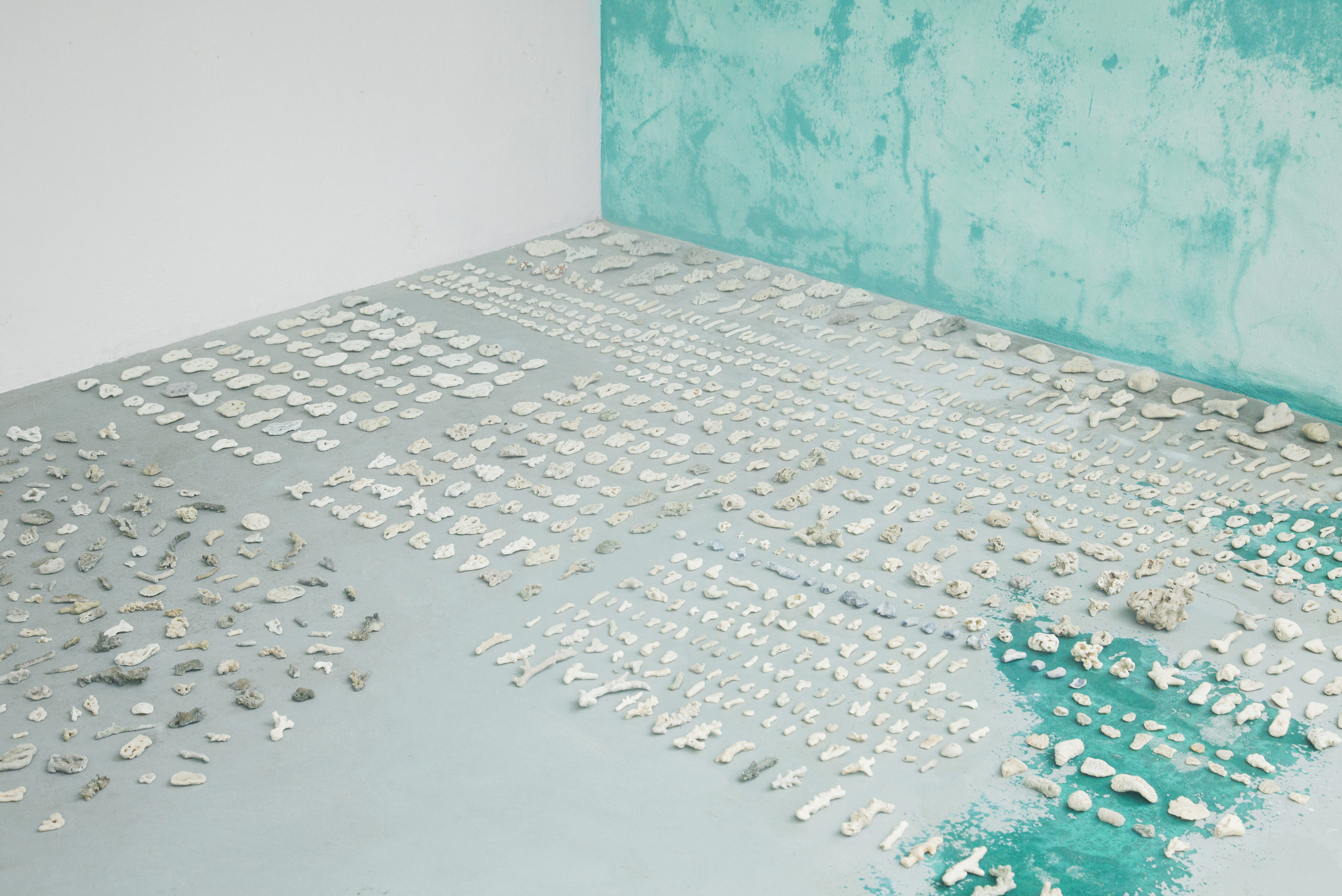 Several rows of pieces of clay on a floor in a room, one of the walls is white and the other is covered in faded turquoise paint.