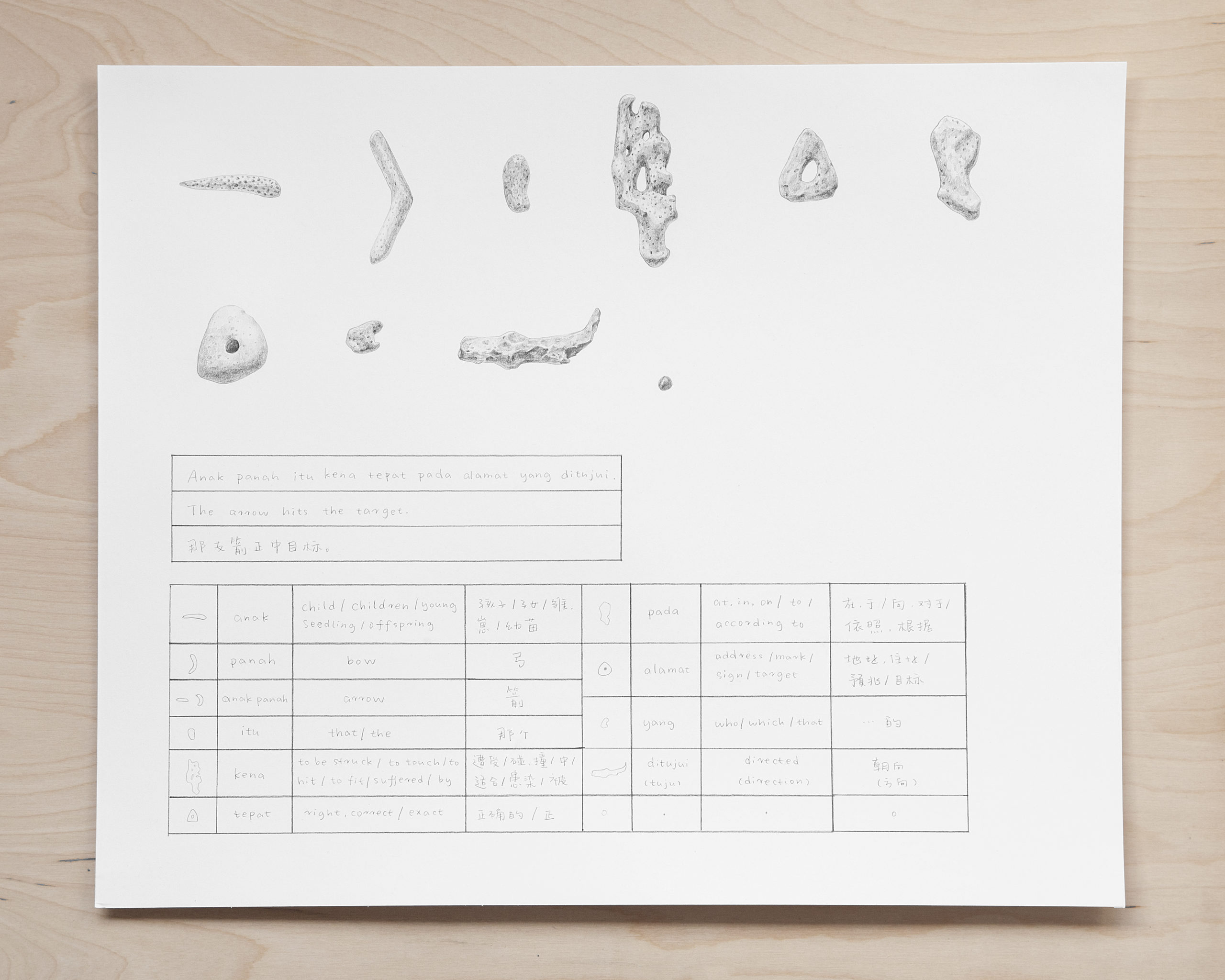 A page from a sketchbook with ten small drawings at the top and two charts drawn at the bottom.