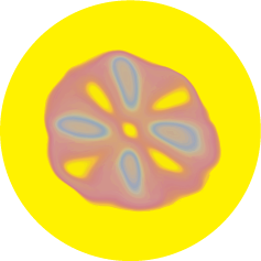 OTHER SPECIES