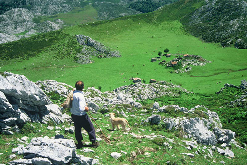 A man and a dog, overlooking a vast field.