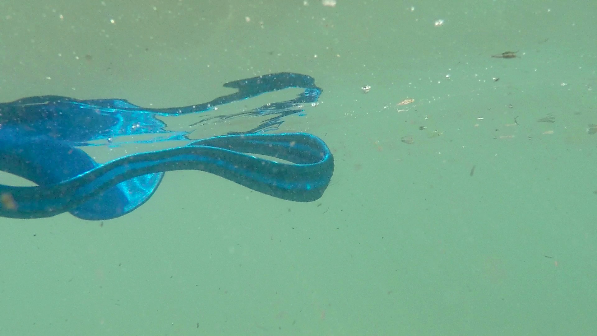 A blue swimsuit floating underwater