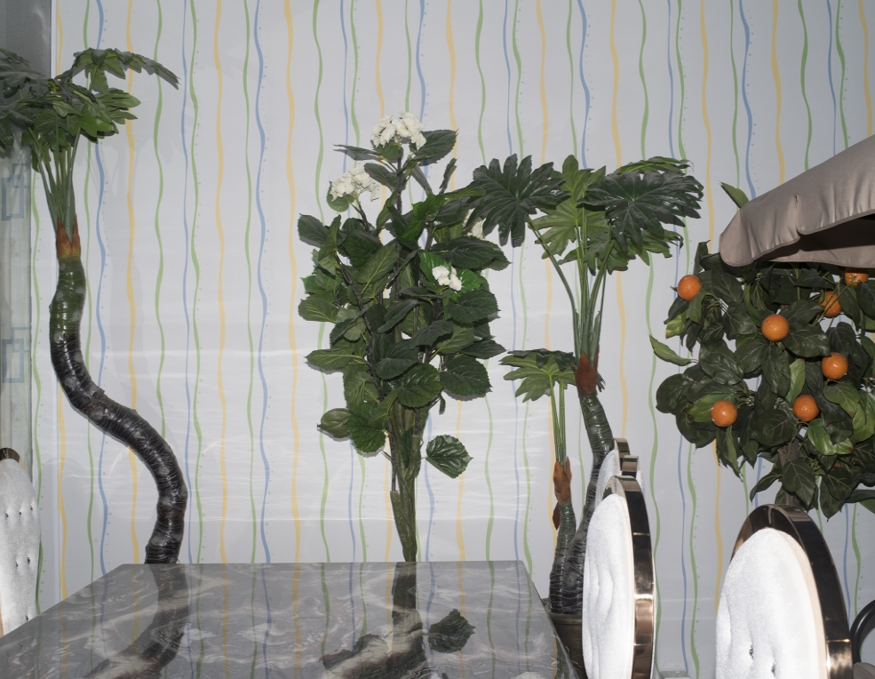 Artificial tropical plants sit behind a dining set and and in front of a white wall with yellow, green, and blue lines.