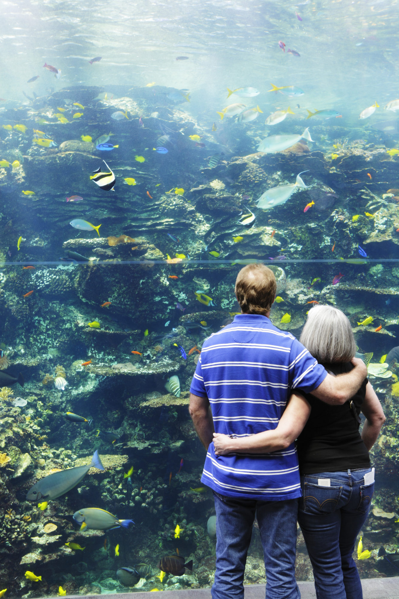 man and woman hold their arms around each other while looking at brightly-colored fish in an aquarium