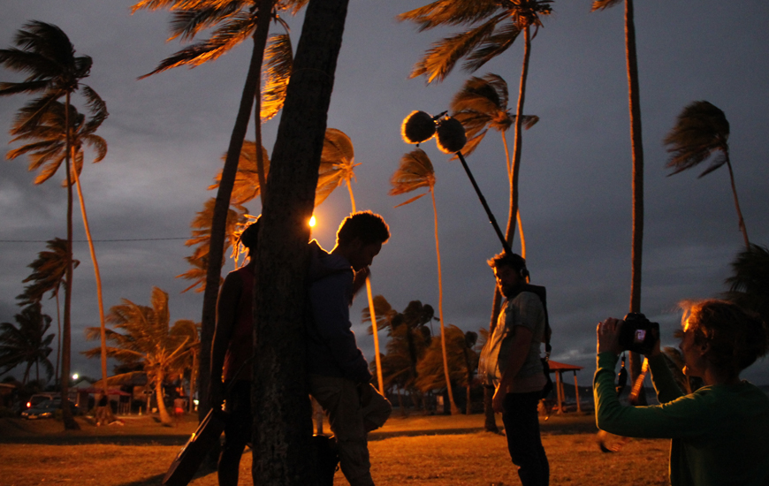 People standing outside amongst palm trees on a windy night