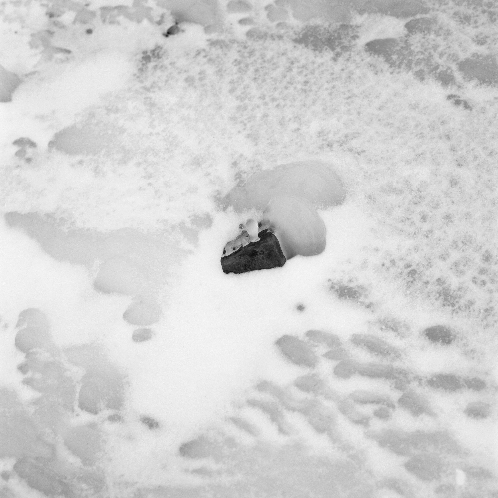 closeup photo of small black rock surrounded by ice