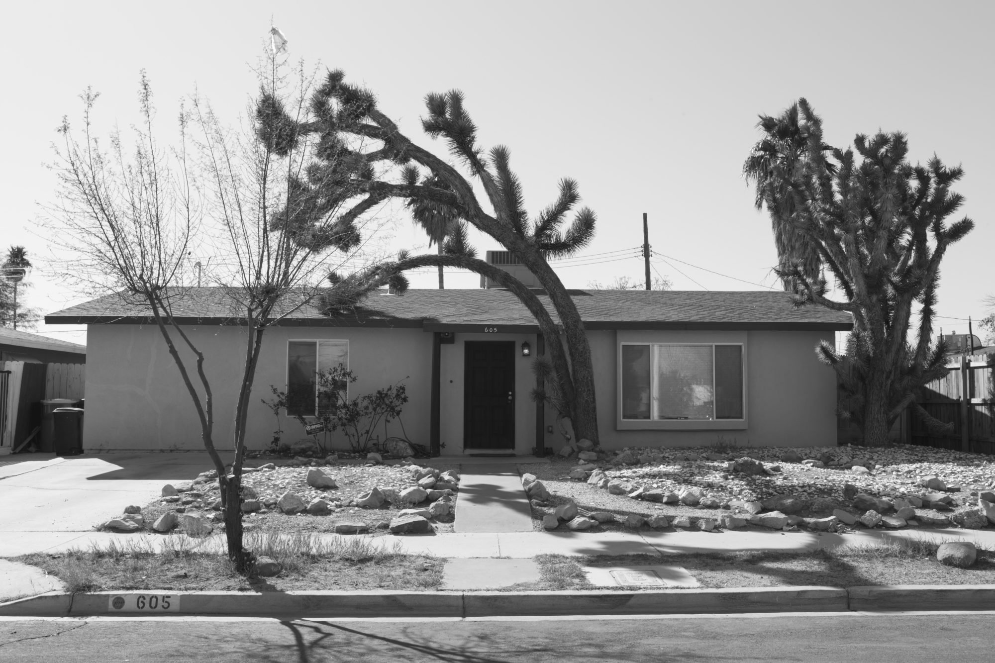 Black and white photo of one-story house with trees and rock garden in front.