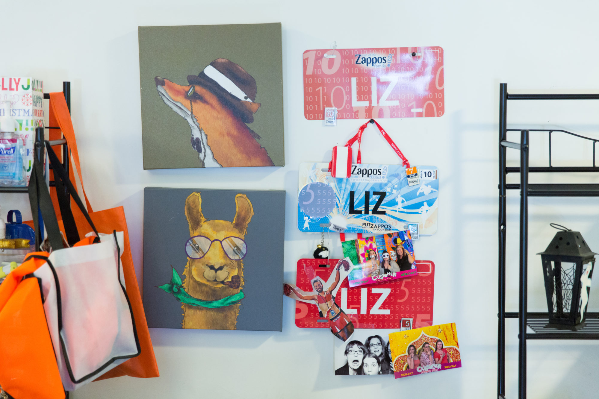 wall with images of a llama in glasses and a green scarf, a fox in a hat, bags and signs hanging from white wall
