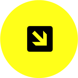 Strategies of Response