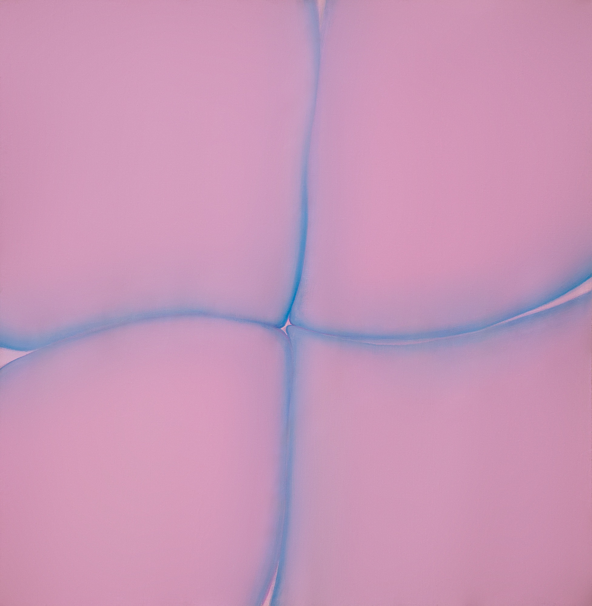 a pink background separated into four by blue, curving lines