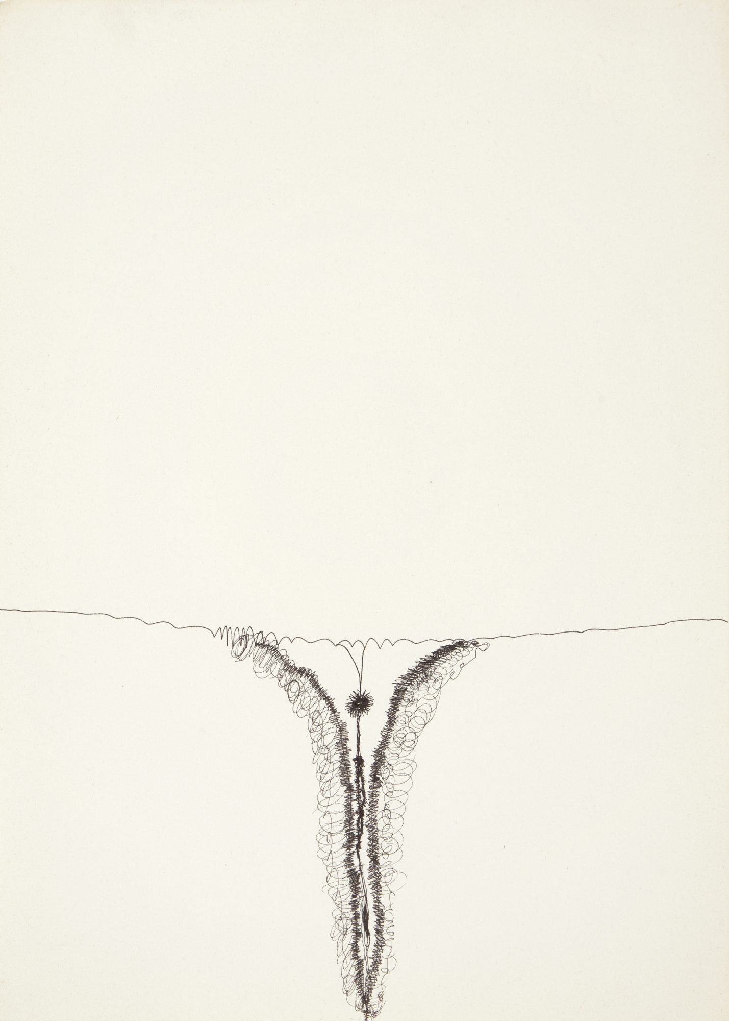 sketch drawing of female vulva