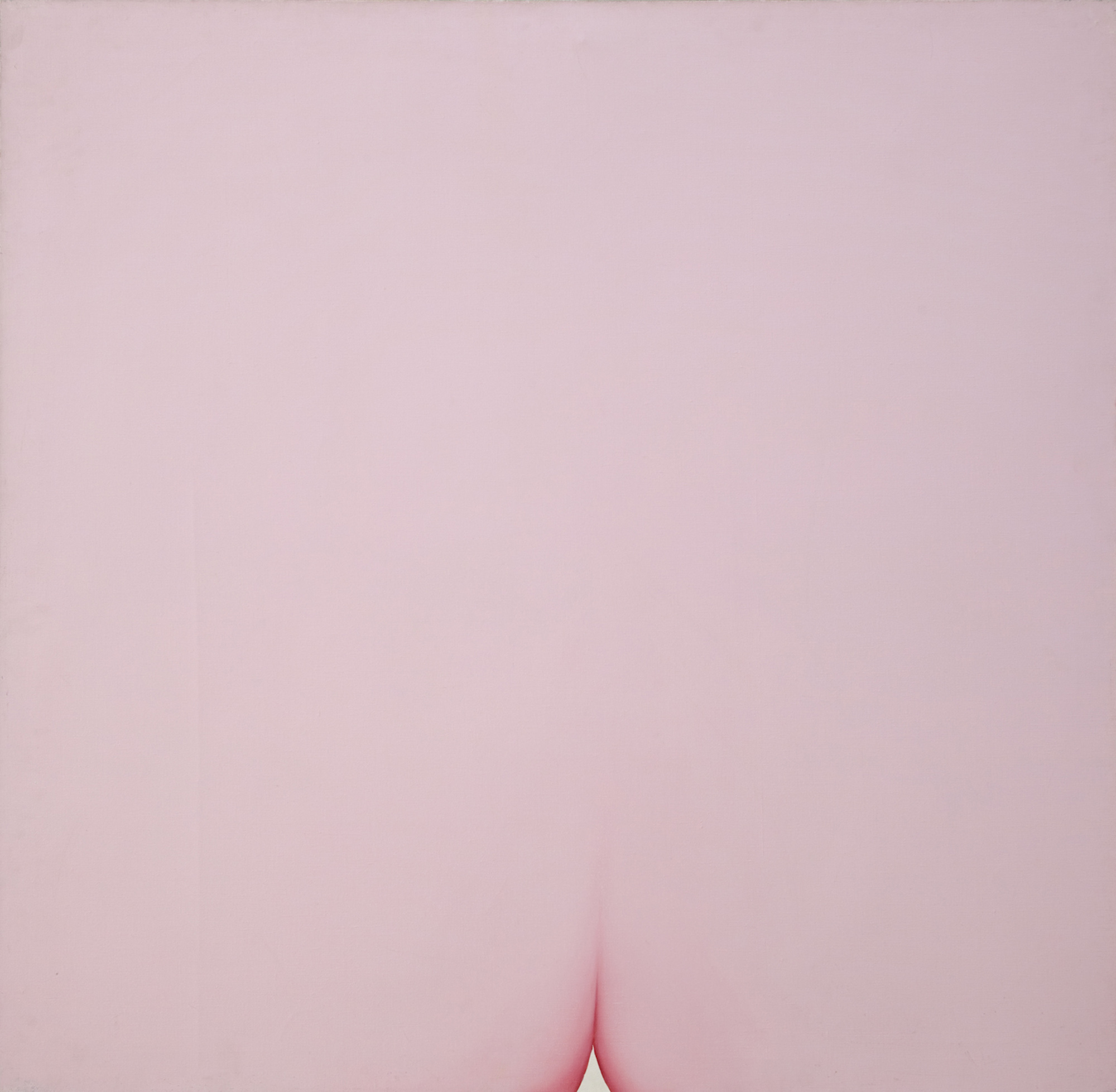 a pink posterior
