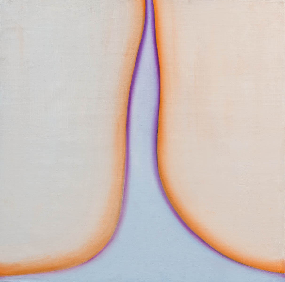 Two rounded peach shapes, outlined in purple, on a blue background.