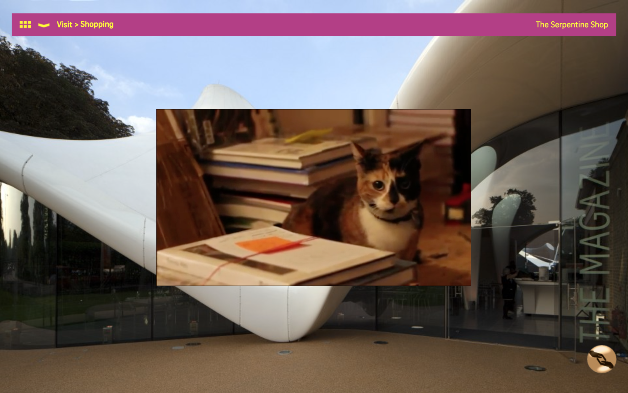 A screenshot image from the Serpentine Gallery website. An image of a cat sitting near books overlays an image of the The Serpentine Shop.