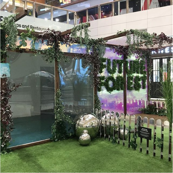 a greenspace in the center of an airport terminal