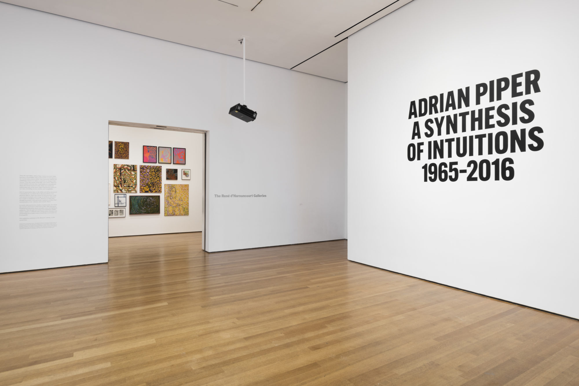 overgive Adskillelse Klinik Adrian Piper: A Synthesis of Intuitions, 1965–2016 - Art Papers