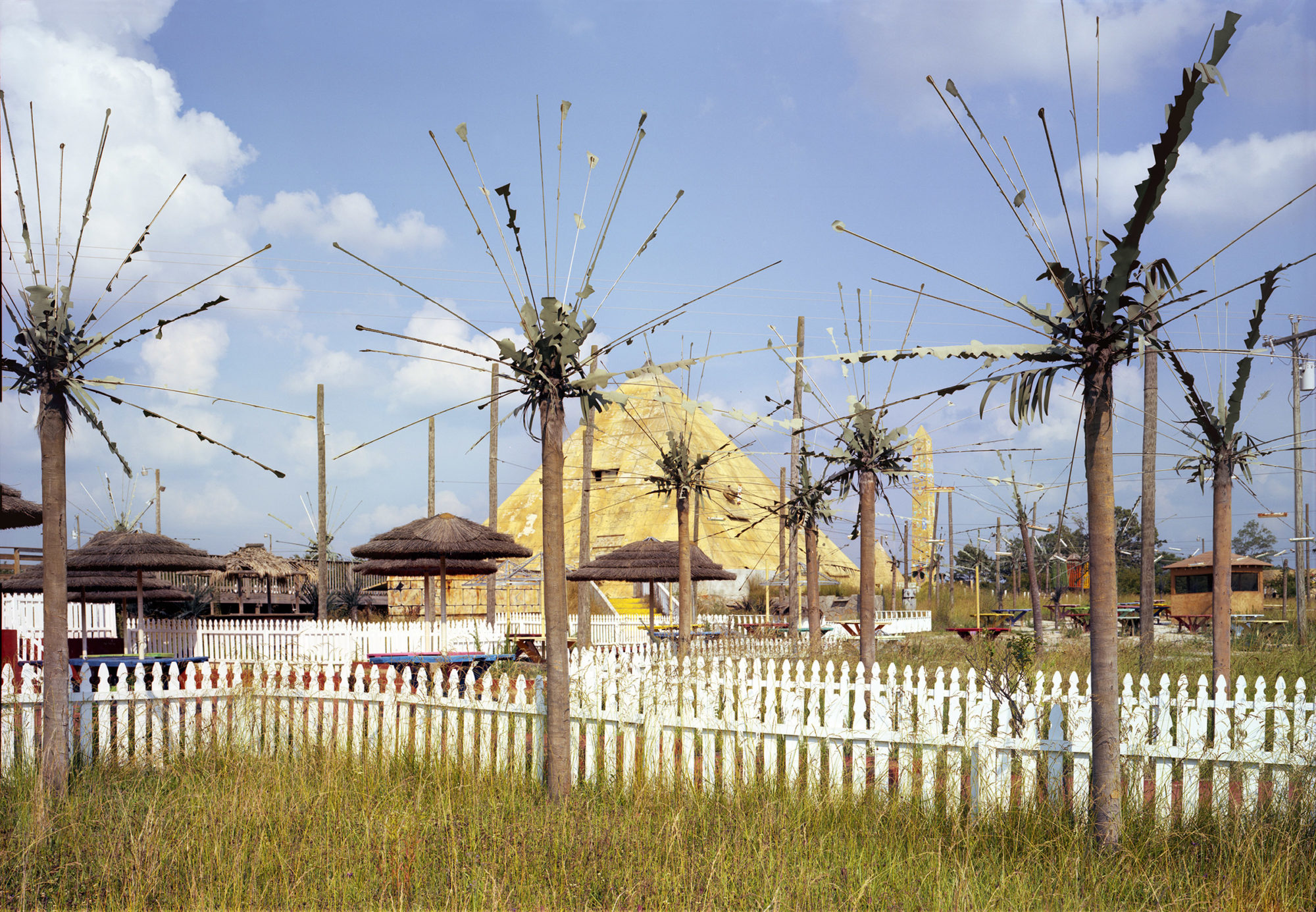 white picket fences sectioning off grassy areas with spiky palm trees and tables with straw umbrellas. in the background: a golden pyramid