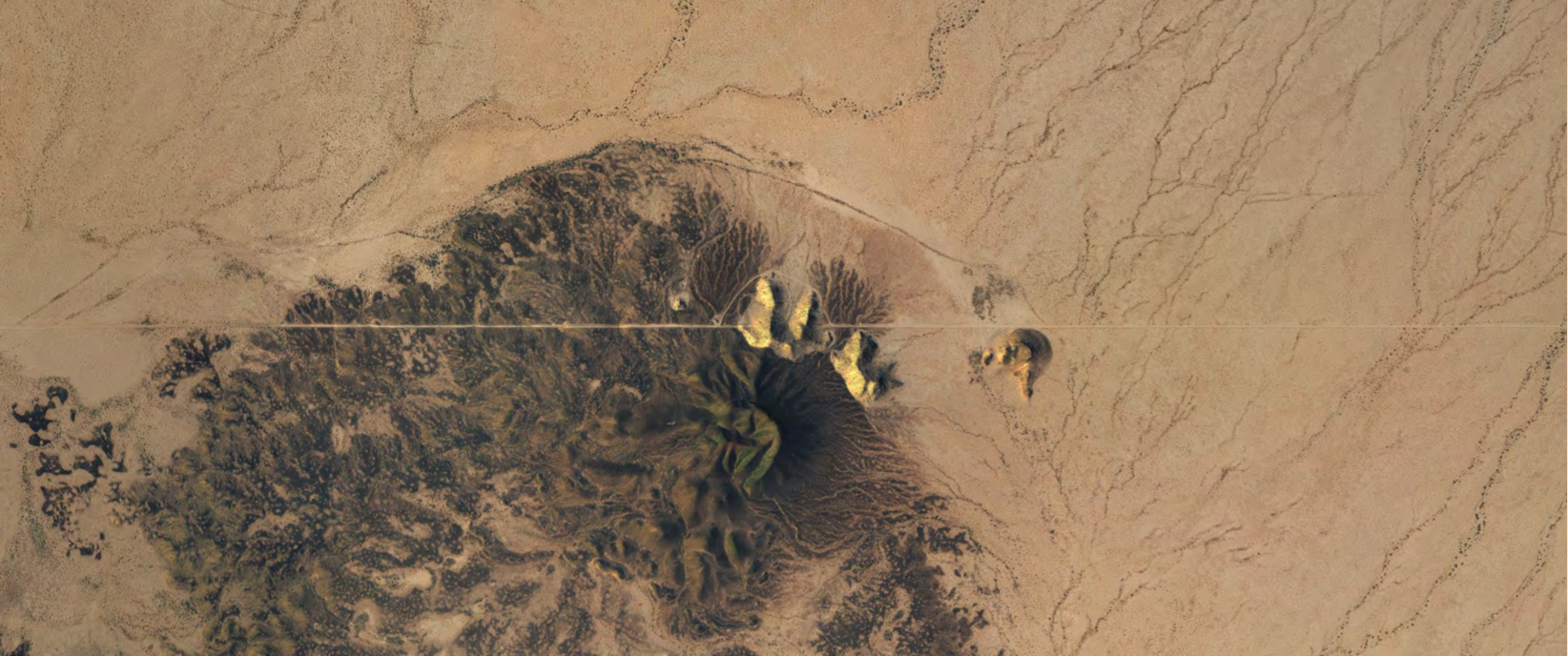 sandy terrain with large patch of mossy green and texture brown