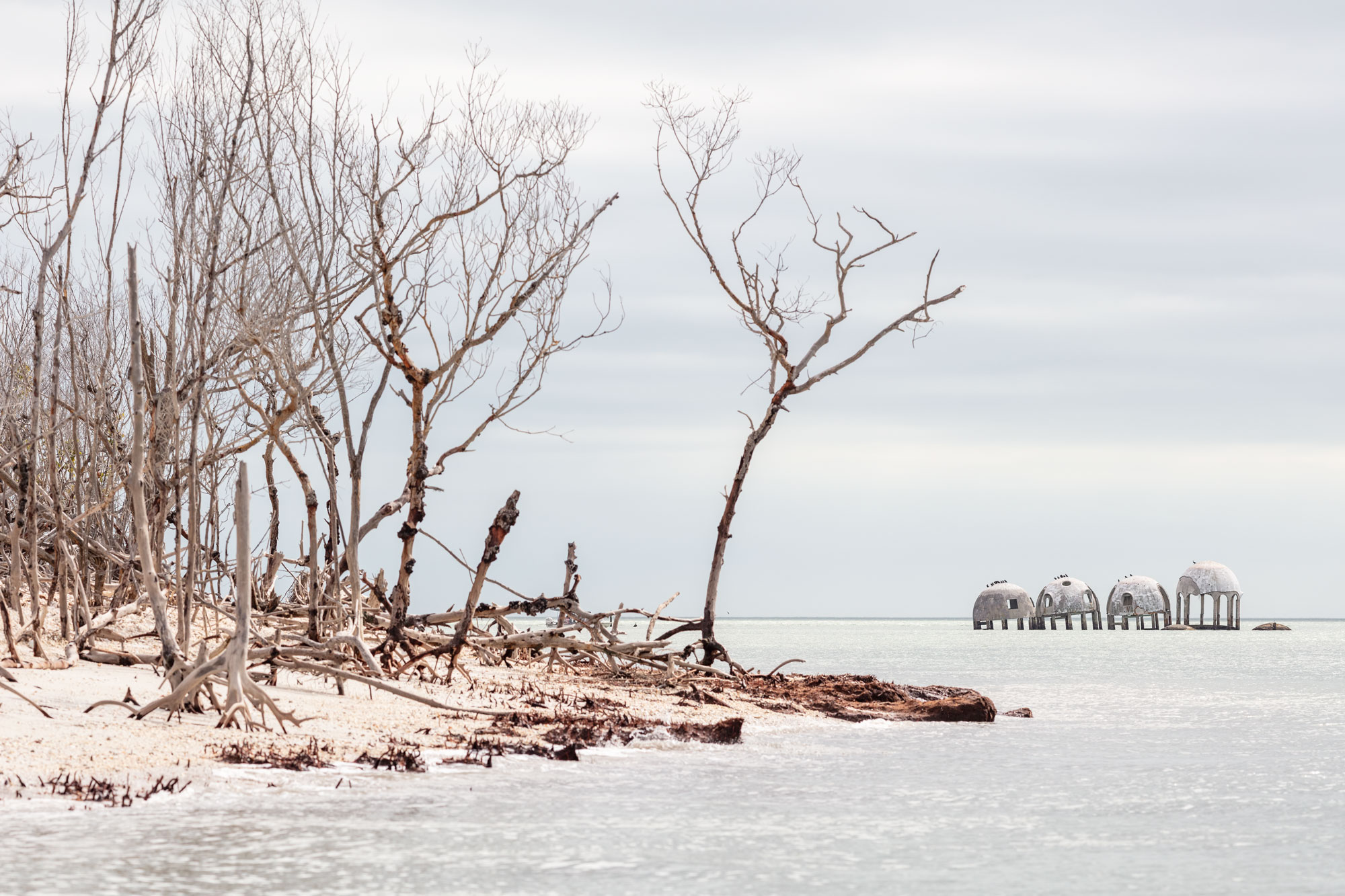 Photograph of woodsy seascape in which four domed structures are succumbing to sea rising levels in the distance..