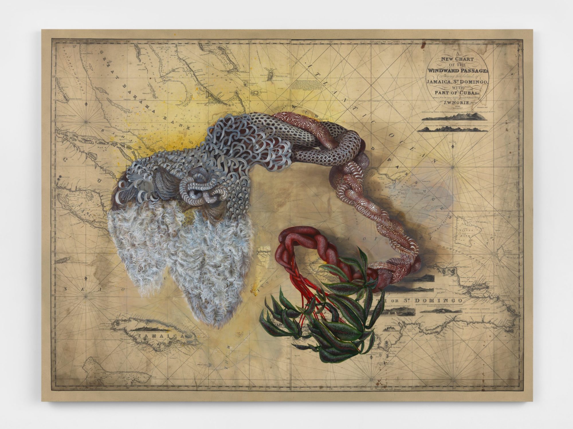 An oil and acrylic painting which shows a woven mermaid tail on top a printed canvas of an old map showcasing the Islands of Jamaica, St. Domingo, with Part of Cuba.