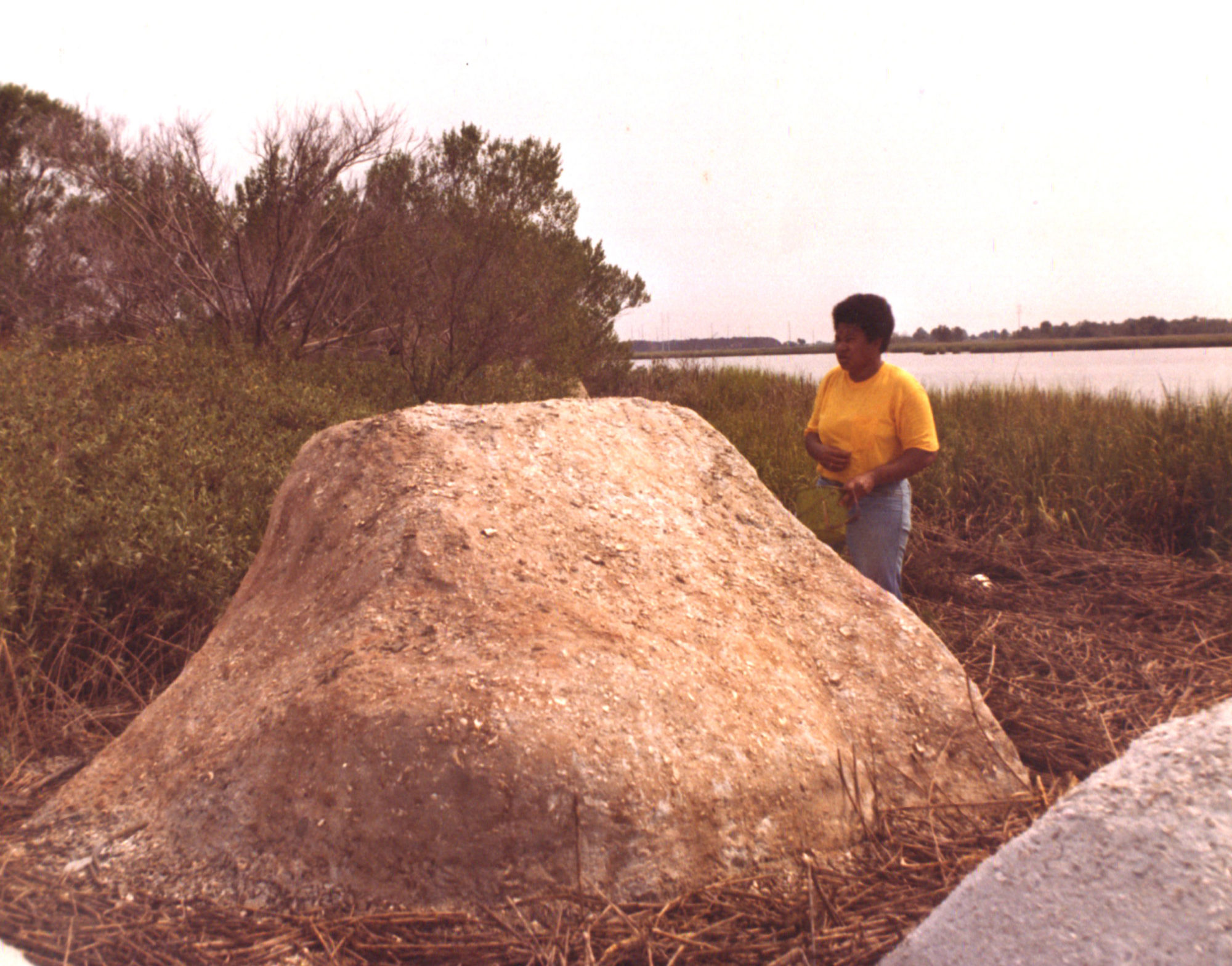Old photograph shows Beverly Buchanan in yellow shirt and blue jeans holding green bucket, standing with her back to a marsh and gazing at large, boulder-like structure