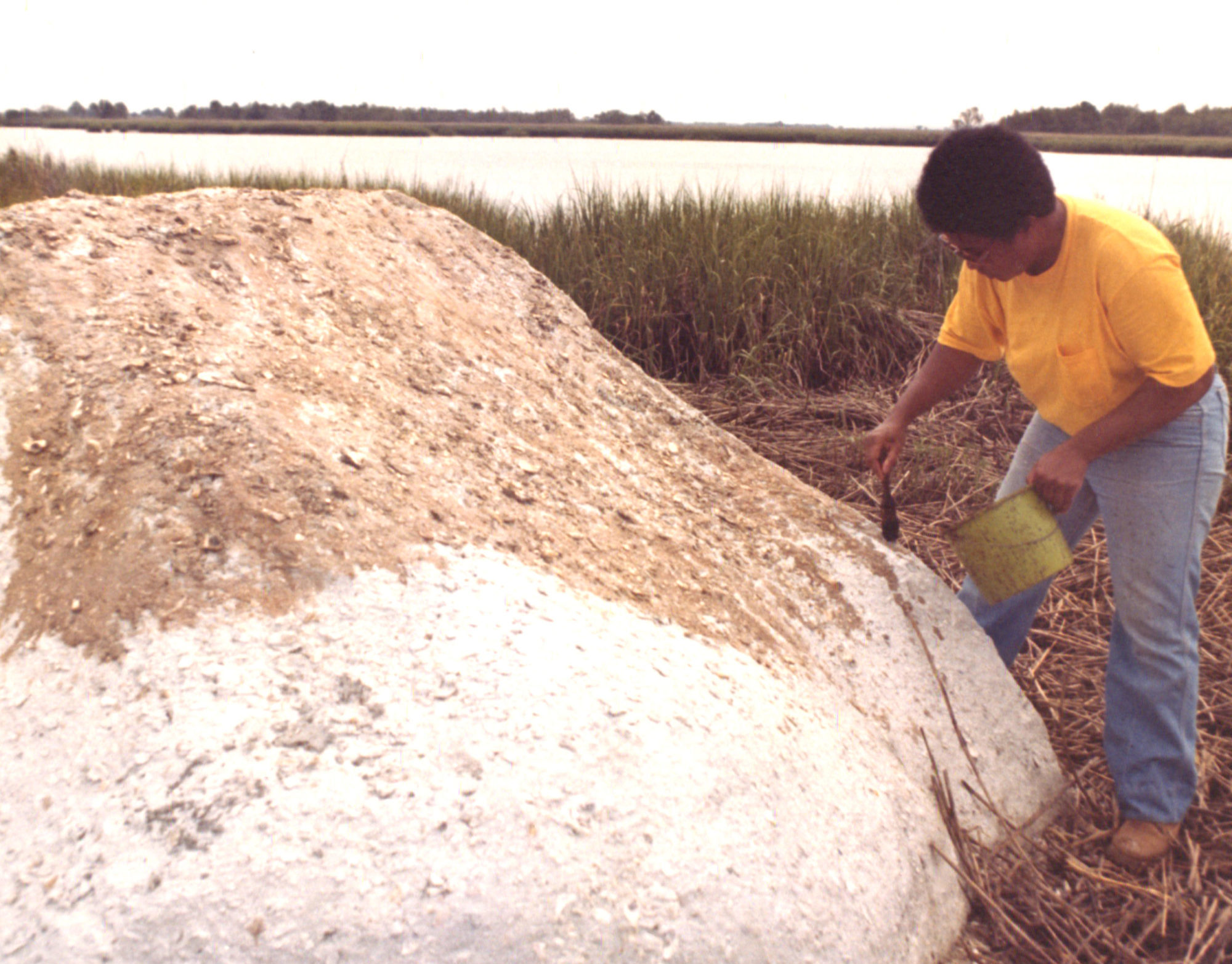 Old photograph shows Beverly Buchanan in yellow t-shirt, jeans, and sunglasses using green bucket and paintbrush to paint large rock-like structure at edge of marsh