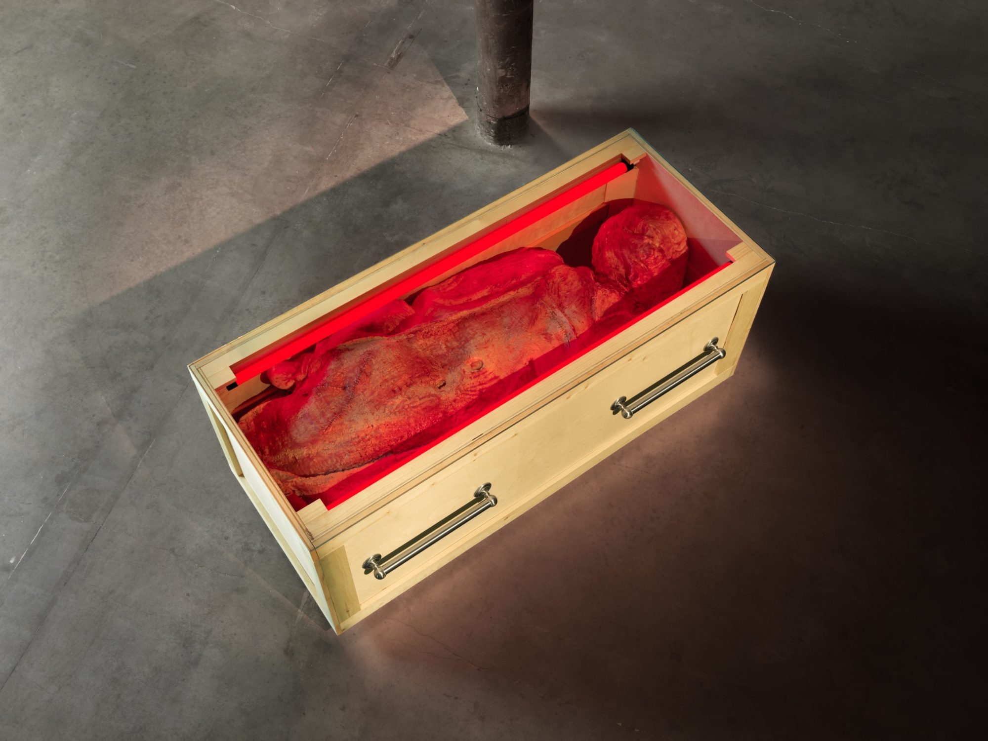 Body in wood coffin cast in red light upon gray concrete floor