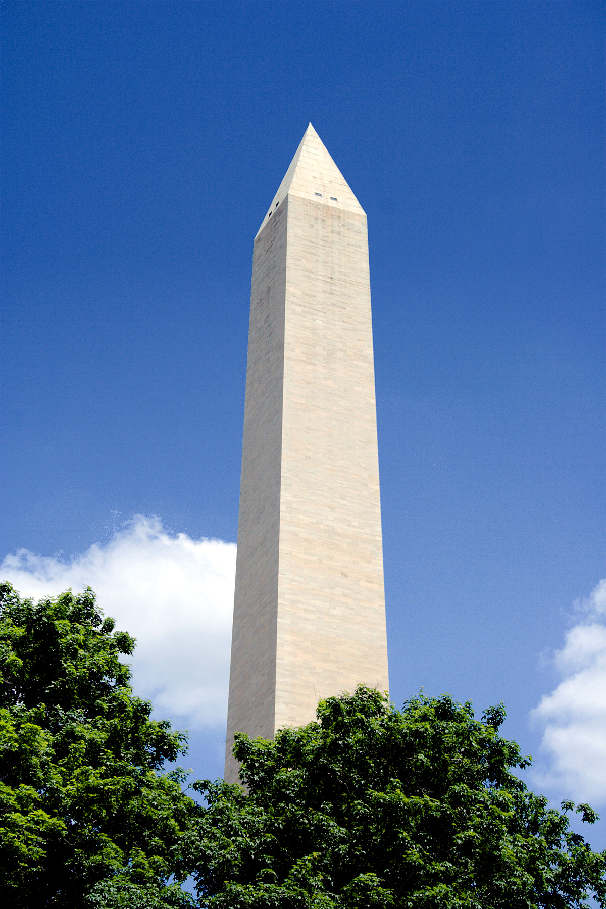 Vertical image of the Washington Monument on a sunny day. The base is covered with full trees.