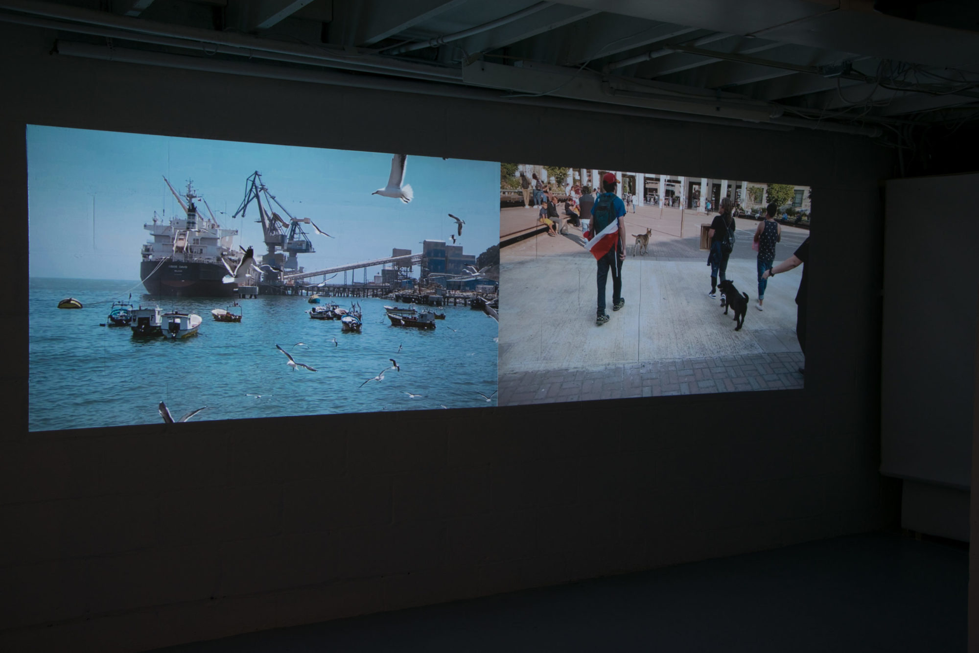 Two paneled projection of two separate films. On the left side is a shot of a large fishing vessel docked and surrounded by smaller sea boats closer to the dock. On the right side is a still of several protesters walking facing away from the camera, one with a black dog and signage.