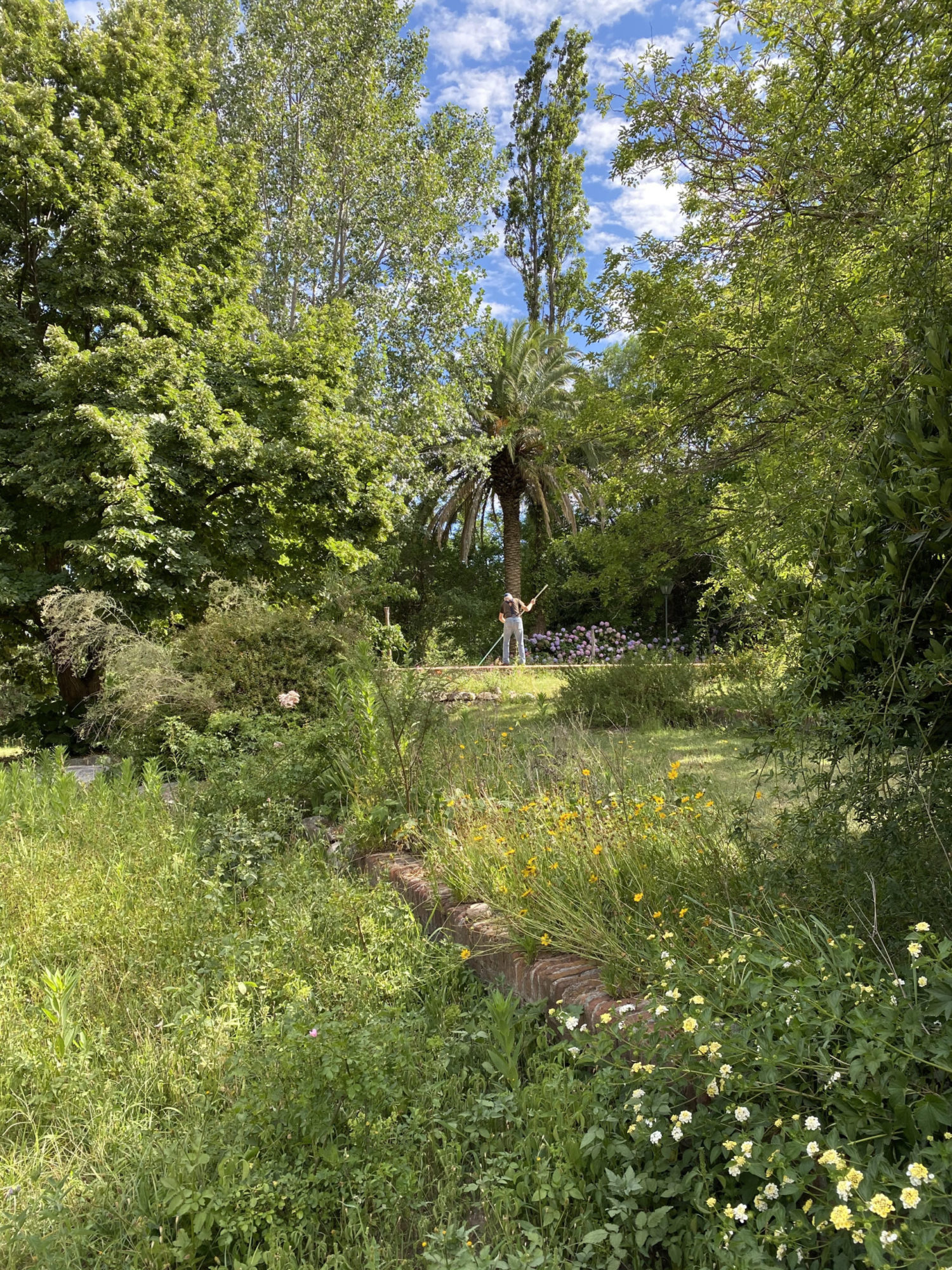 Photo of a large green oasis covered with vibrant foliage and flowers with a sole person standing in the distant center, with their back turned and mending the grass.