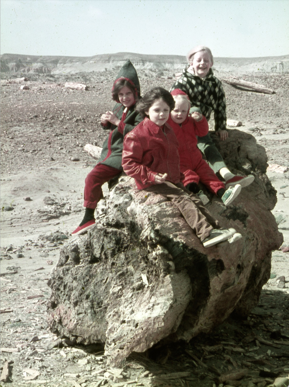 The photo of four children sitting atop a large rock, two sitting flat on it with another behind them leaning forward on it and the fourth leaning on it with their back.