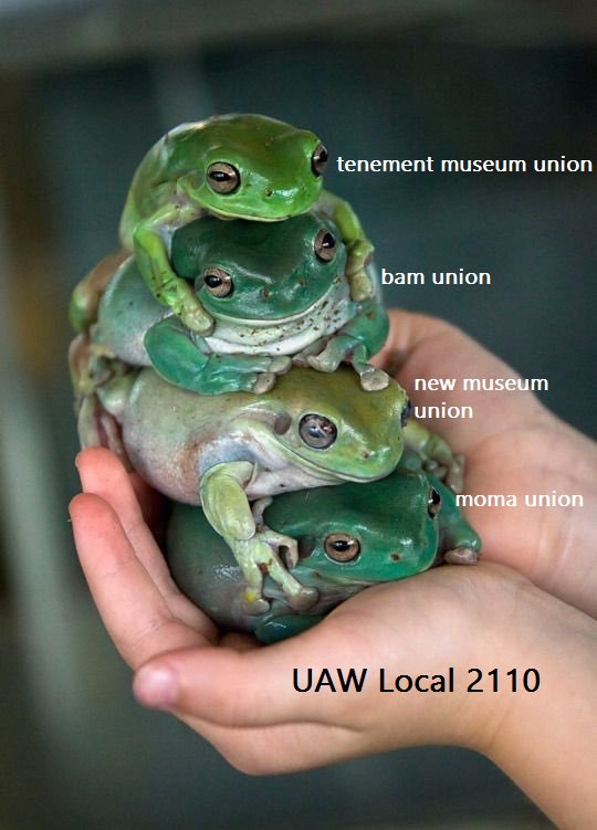 Meme shows four green tree-frogs stacked in pair of cupped palms. Frogs are labeled with unions of varius arts institutions; hands are labeled 