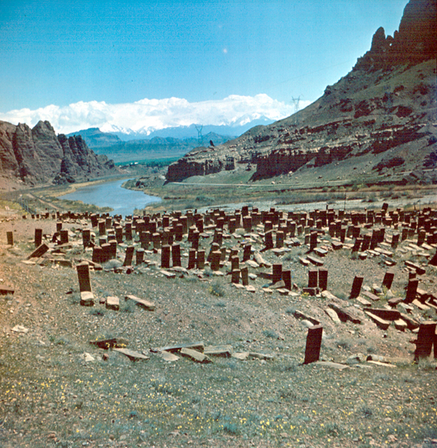 Photo of a large valley filled with Khachkars, some toppled over or leaning but many still standing.