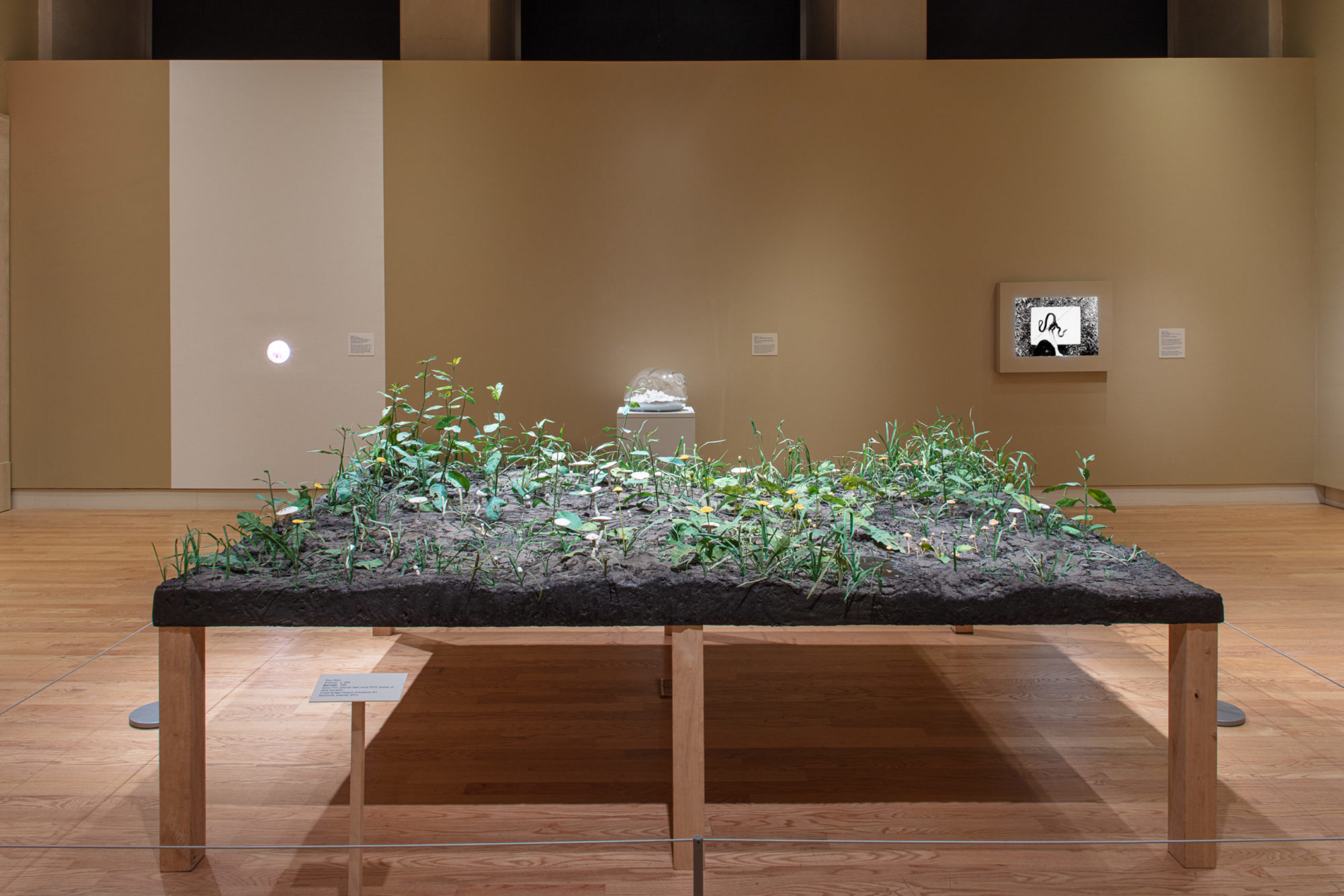 Installation view of exhibit that shows a table of brown soil covered in a collection of short green plants growing from the fake soil.